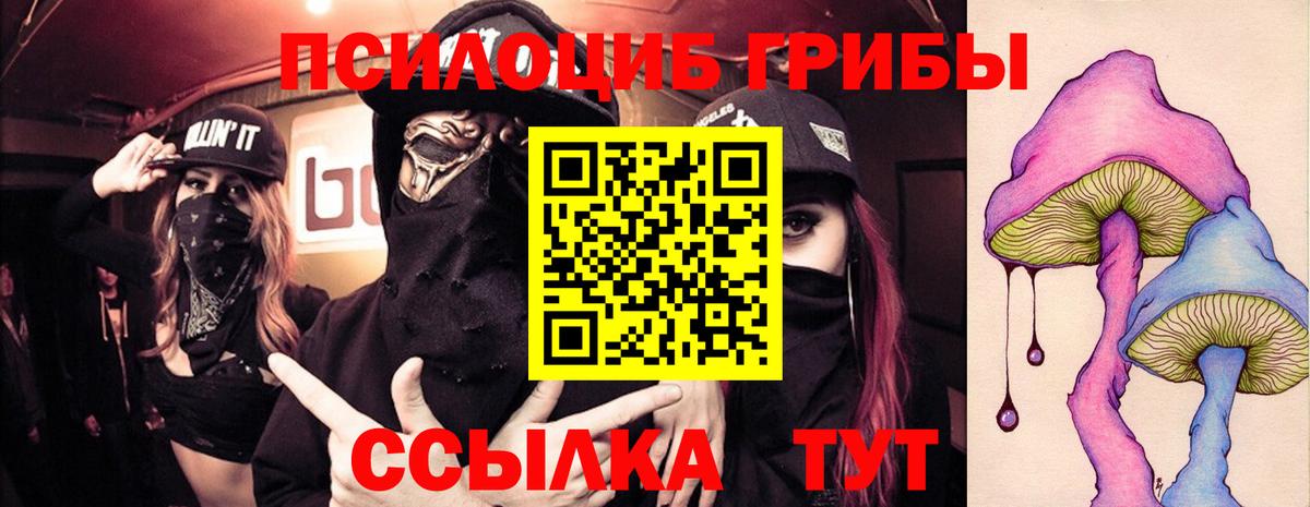 Псилоцибиновые грибы прущие грибы Новый Уренгой