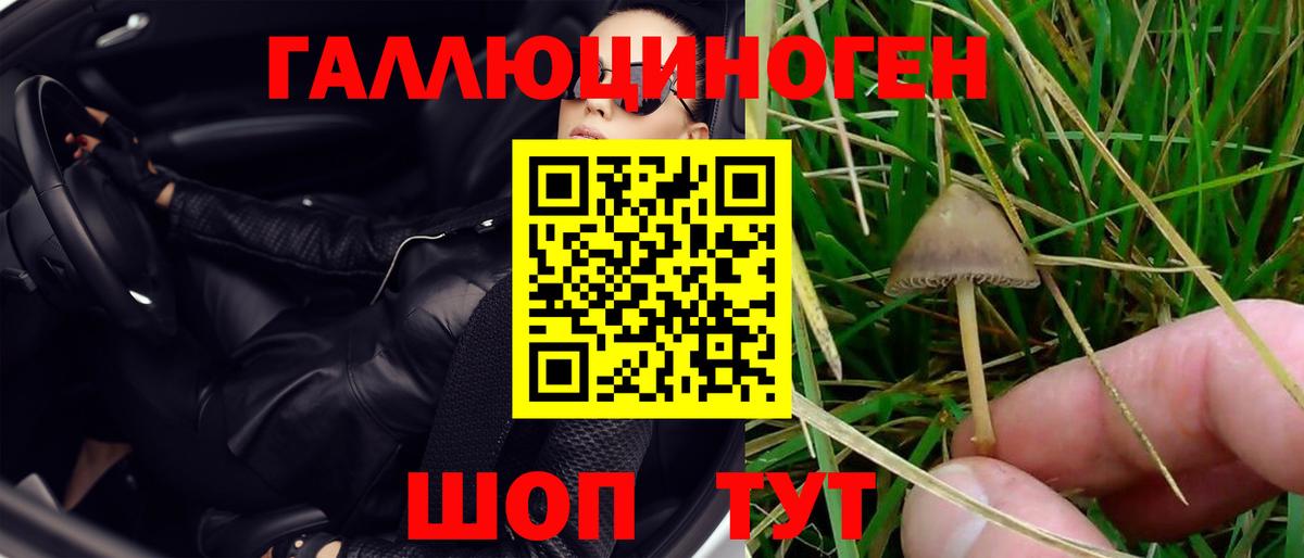 Новый Уренгой  Галлюциногенные грибы ЛСД  как найти закладки  Вход с VPN 